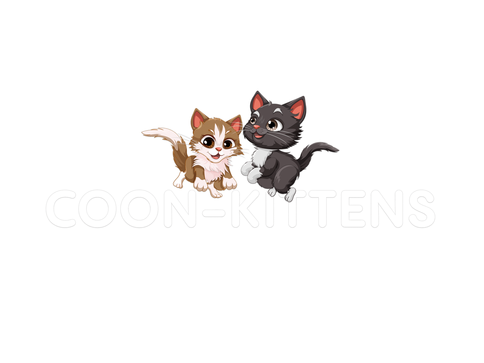 coonkittensforsale